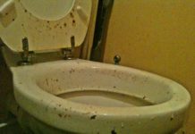 OK David, You Can Be An Idiot About Open Access, If You Wish