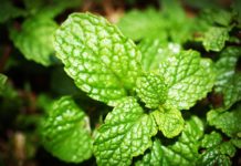 Philip Morris Are Just Such Terrors To Release An Entirely Legal Product